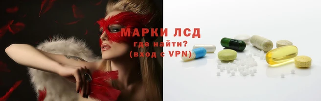 прущие грибы Абаза