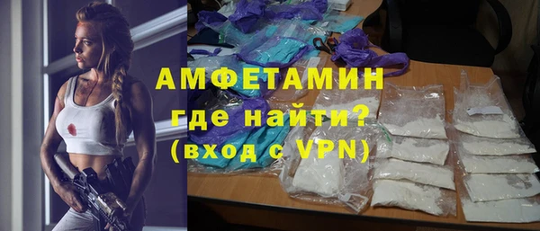прущие грибы Абаза