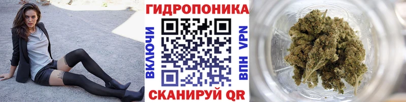 закладка Абдулино Каннабис план